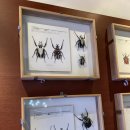 생비량고치마을놀이터 | 아이와함께 가볼만한 부안누에타운