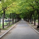 공지천 산책로 이미지