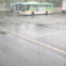 니가 참 좋아 이미지