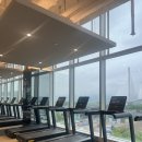 초이스바이반트 이미지