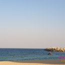 원조가든 이미지