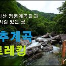 [예고편] 가평 용추계곡 트레킹 / 연인산 명품계곡길과 소리길이 있는곳 용추계곡 트레킹 이미지