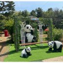 유천 한우 이미지