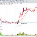 성일Trading