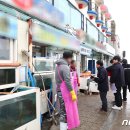 동해-단속-45 이미지