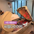 온동물의료센터 | 서면비만관리 확실한 곳 비엘다이어트