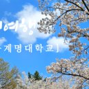 웰휘트니스퍼스널트레이닝센터 이미지