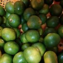 영숙농장 이미지