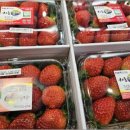 동부농협하나로마트 이미지