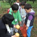 상록어린이집 이미지