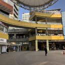웨스턴돔 | 정발산역 맛집 장항동 웨스턴돔 규카츠정 후기