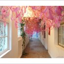 아미미술관 이미지