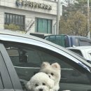 단양 무지개 오토캠핑장 이미지