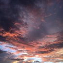 (주)킴스아이디 이미지