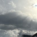 거제다대횟집 | 2025년 12월, 행복한 거제 여행, 그리고 한 해의 마무리