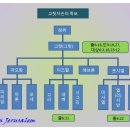 족보 Daum카페