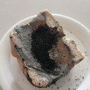 사랑하는 부산 빵집