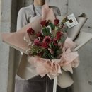 꼬모플레리 이미지