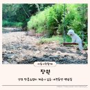 장원능이백숙 | 양주 애견동반식당 계곡이 있는 장흥유원지백숙 장원