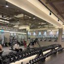 득근 GYM | [공지] 서울 송파구 삼전동 헬스장 베네짐(BENE GYM) 일일권 후기 | 파트너 하체 운동 루틴 리뷰