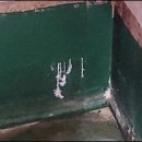 인천승강기
