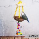 블루코코넛
