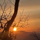 성원운수 | Happy New Year 🌟🙇‍♀️🐴❤️