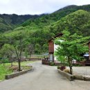 들국화 펜션 이미지