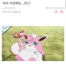 포켓몬 갤러리 근황 이미지