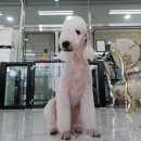 D-Style(디스타일) 이미지