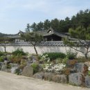 부포로(예안면) 네이버블로그