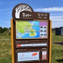 제주 셋알오름 일제 고사포진지 이미지