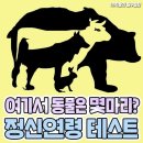 여기서 동물은 몇마리 ? 정신연령 테스트 이미지