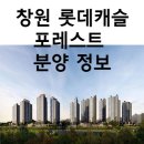 포레스트813 이미지