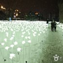 주식회사로즈가든 이미지