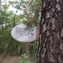 고양누리길 13코스 오선누리길 이미지