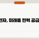 전자 이미지