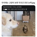 우하하 - 경주시 동문로 46 | 우하하