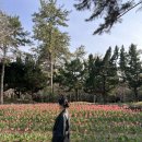필수돈가 | 협재해수욕장,한림공원 | 유모차 가능 서쪽 코스 솔직 후기✨ (김만복김밥, 숙성돈가 솔직후기도 있음🤭)