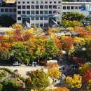 부산시청 이미지