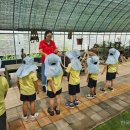 칠금초교 병설유치원 이미지