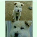 구올담치과병원 이미지