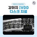 석 동물병원 | 안산동물병원 노령견 허리디스크 MRI, CT 및 수술 후기