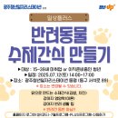 반려동물 수제간식 이미지