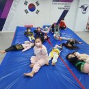 용인대윙스태권도장 네이버블로그