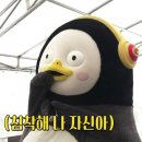 부흥초등학교1 이미지