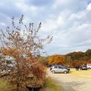 운악홀리데이 이미지