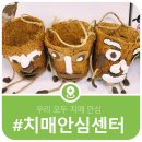 가평군치매안심센터 | 가평 치매 안심센터와 함께 우리 모두 치매 안심