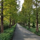 2019 오륙도평화축제 이미지