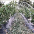 해품은농장 이미지